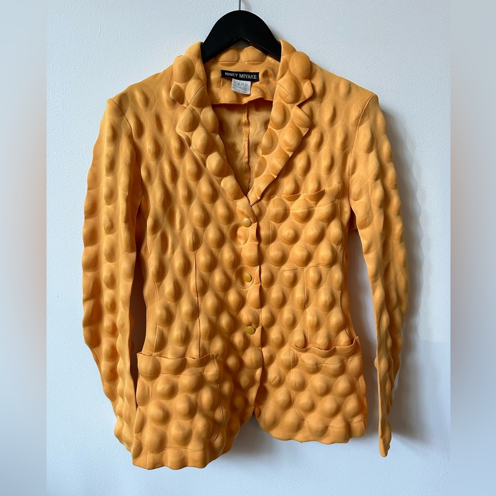 Rare Issey Miyake Egg Carton Jacket